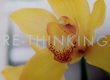 image of yellow flower wit RE-THINKING written across